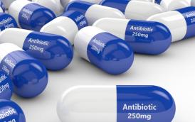 AntibioEst