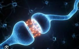 Journée du centre de référence neuromusculaire