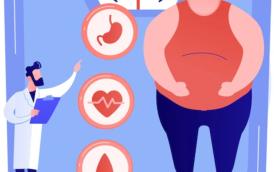 Journée Territoriale de l'Obésité