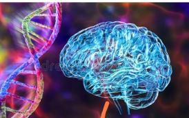 3èmes rencontres neurogénétiques de Lorraine