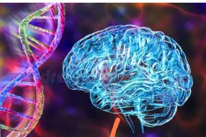 3èmes rencontres neurogénétiques de Lorraine